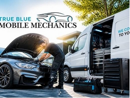 https://truebluemobilemechanics.com/ website